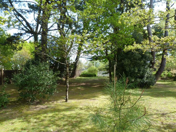 gf7